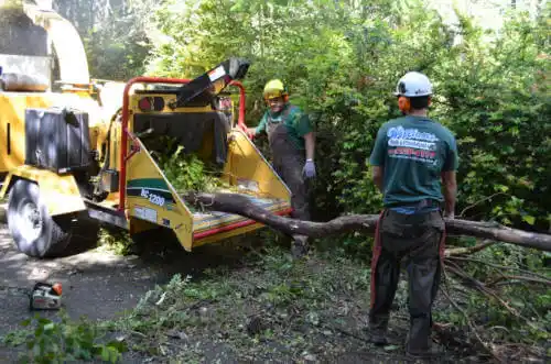 tree services Oquawka